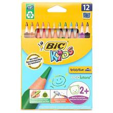 Bic Evolution Üçgen Jumbo Kuru Boya Kalemi 12Li Kutu