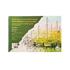 Art Liva Sanatsal Resim Defteri Multi Teknik 20 Sayfa 25X35 170Gr